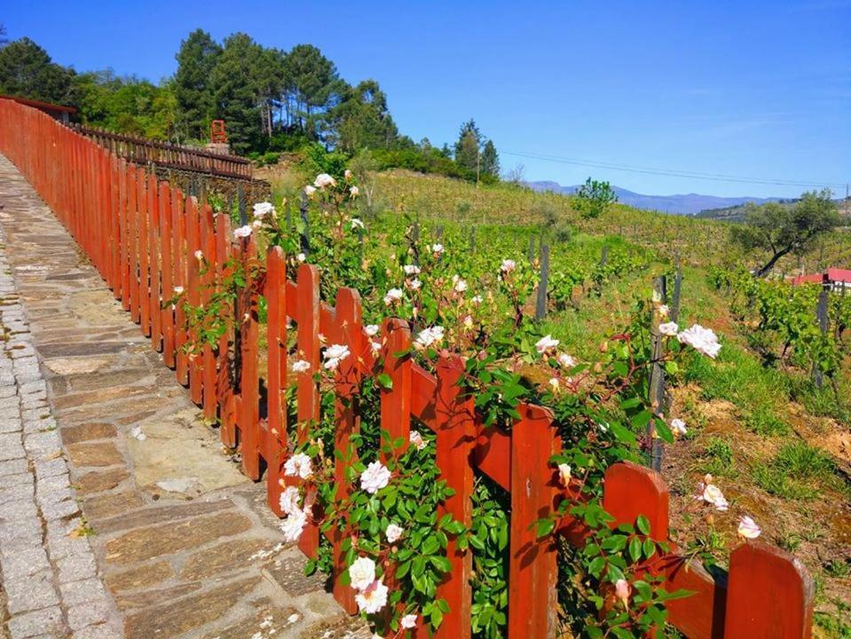 Готель Casa Do Poco - Douro Пезу-да-Регуа Екстер'єр фото