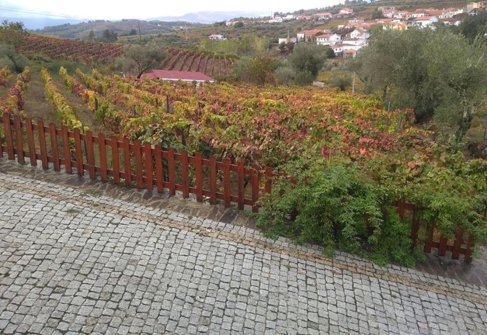 Готель Casa Do Poco - Douro Пезу-да-Регуа Екстер'єр фото